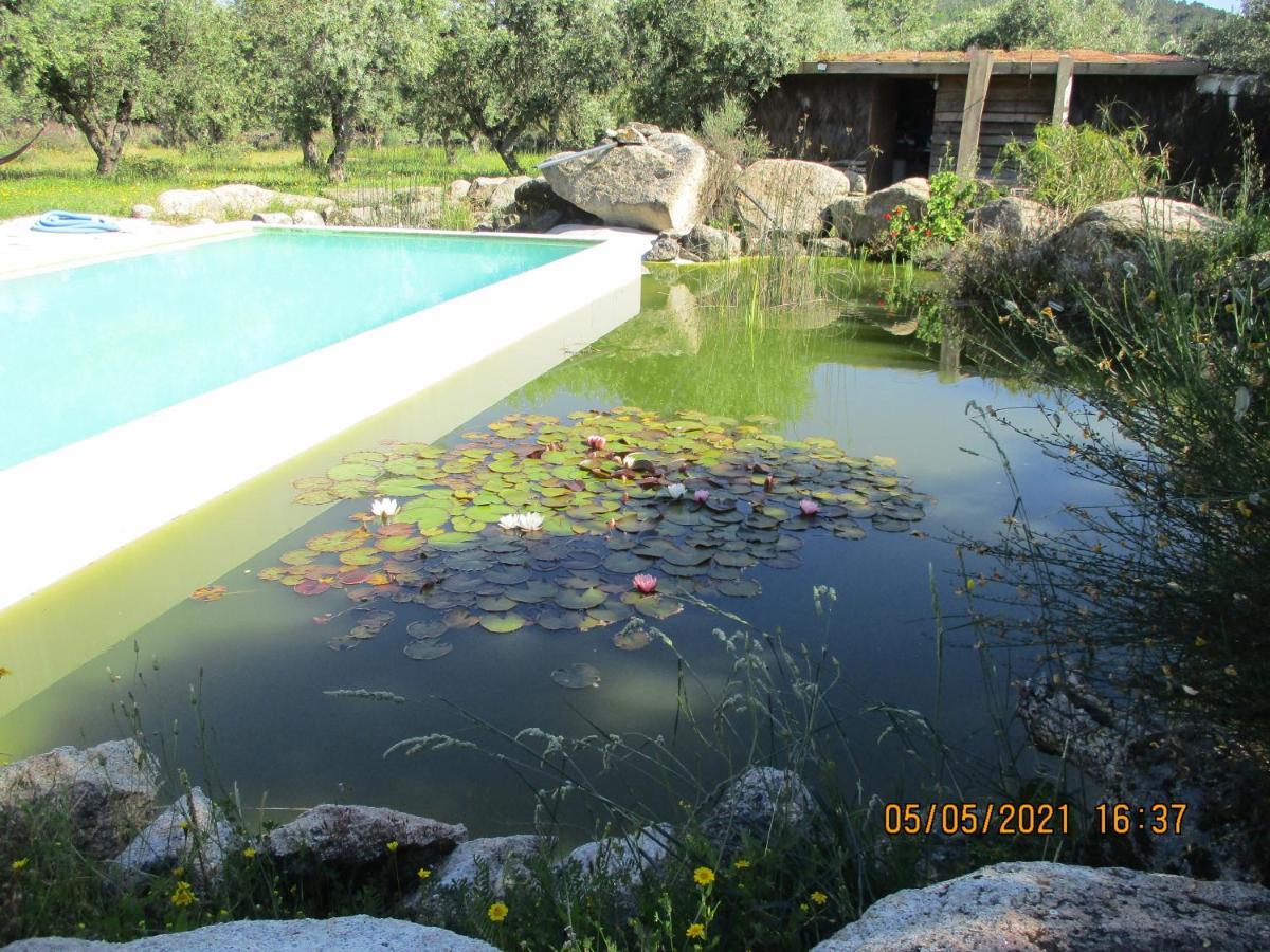 Monte Mariolas Farm stay Castelo de Vide