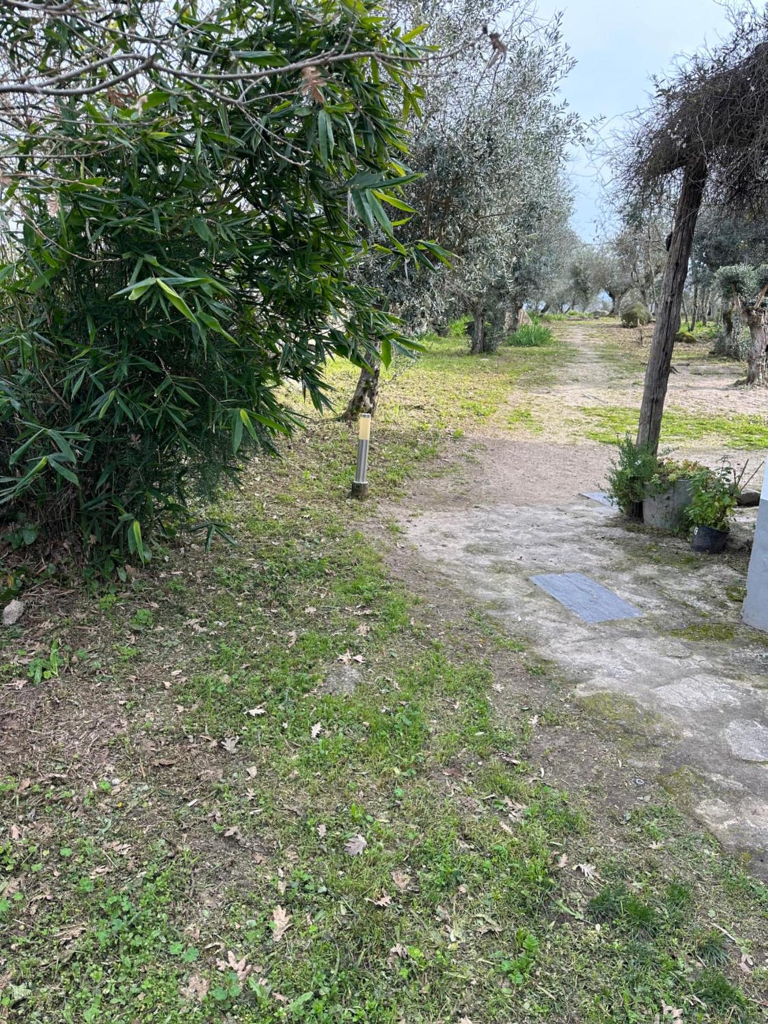 Monte Mariolas Farm stay